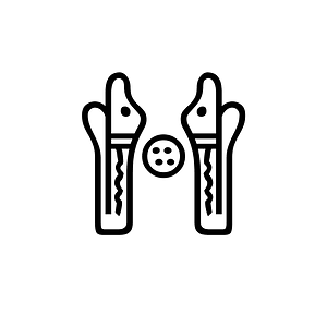 Anatolian Hieroglyph A275