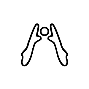 Anatolian Hieroglyph A276