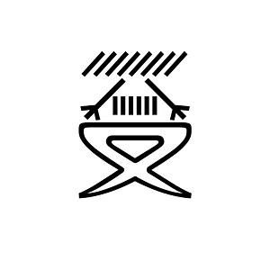Anatolian Hieroglyph A295