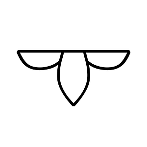 Anatolian Hieroglyph A307