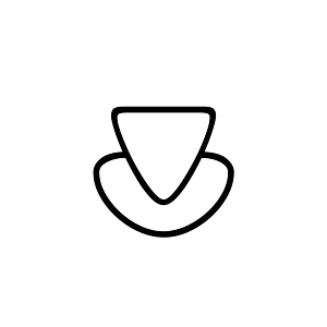 Anatolian Hieroglyph A308