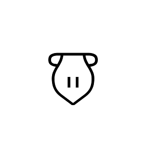 Anatolian Hieroglyph A342