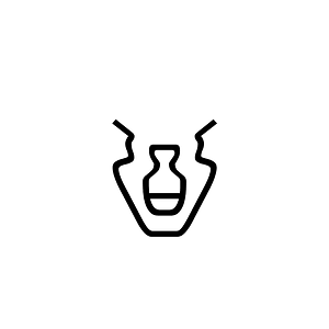 Anatolian Hieroglyph A344