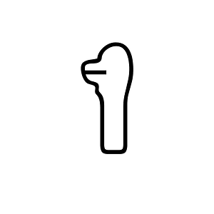 Anatolian Hieroglyph A374