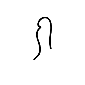 Anatolian Hieroglyph A375