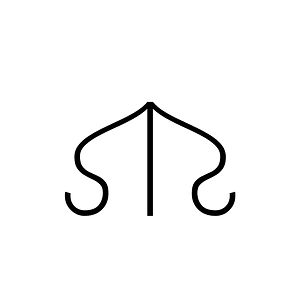 Anatolian Hieroglyph A489
