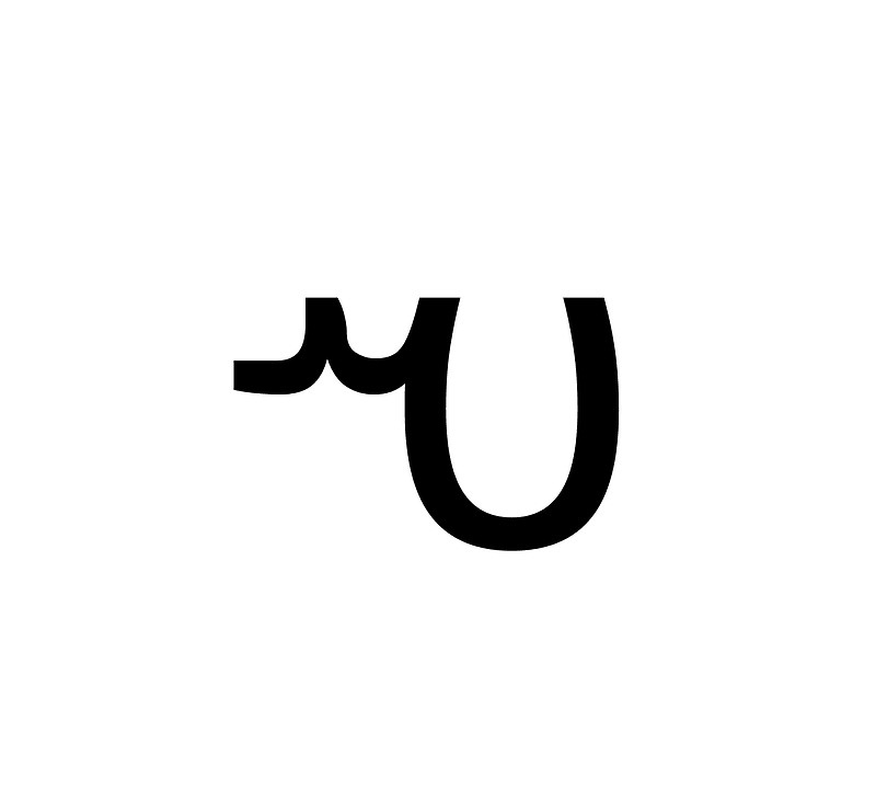 Avestan Letter She