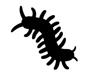 Android Emoji 1F41b