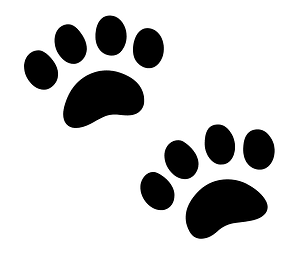 Android Emoji 1F43e
