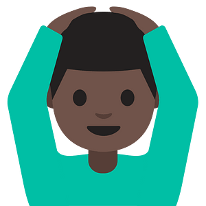 Emoji U1f646 1F3ff 200D 2642