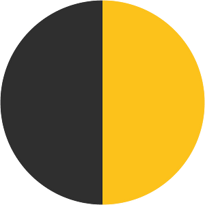 Noto Emoji Kitkat 1F313