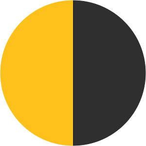 Noto Emoji Kitkat 1F317