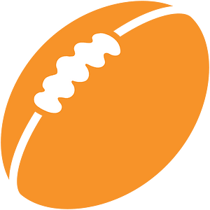 Noto Emoji Kitkat 1F3c9