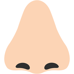 Noto Emoji Kitkat 1F443