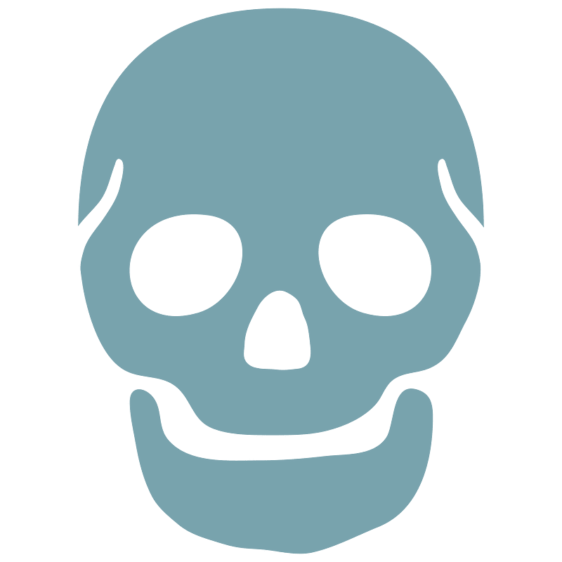 Noto Emoji Kitkat 1F480