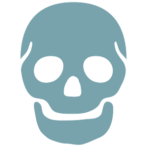 Noto Emoji Kitkat 1F480