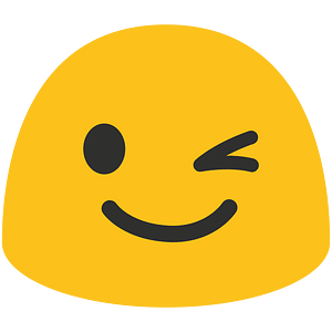 Noto Emoji Kitkat 1F609