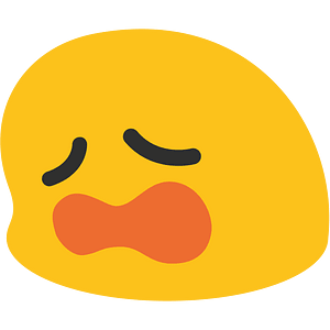 Noto Emoji Kitkat 1F629