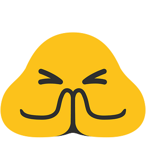 Noto Emoji Kitkat 1F64f