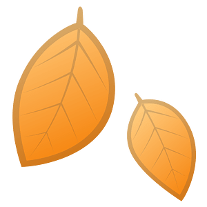 Noto Emoji Oreo 1F342