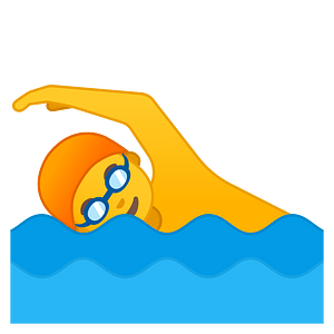 Noto Emoji Oreo 1F3ca 200D 2642