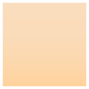 Noto Emoji Oreo 1F3fb