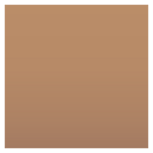 Noto Emoji Oreo 1F3fd