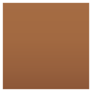 Noto Emoji Oreo 1F3fe