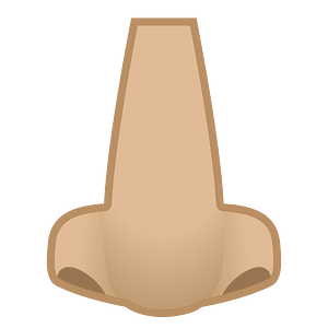 Noto Emoji Oreo 1F443 1F3fc