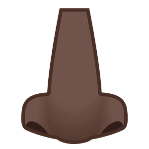 Noto Emoji Oreo 1F443 1F3ff