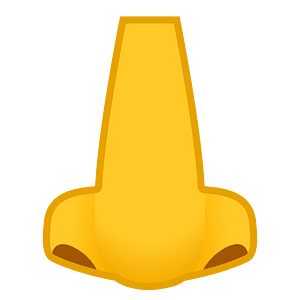 Noto Emoji Oreo 1F443