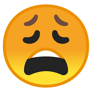 Noto Emoji Oreo 1F629