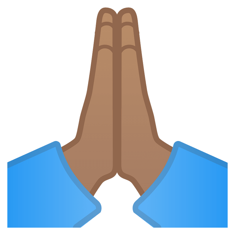 Noto Emoji Oreo 1F64f 1F3fd