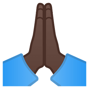 Noto Emoji Oreo 1F64f 1F3ff