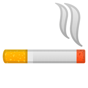 Noto Emoji Oreo 1F6ac