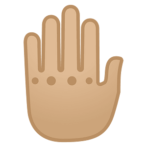 Noto Emoji Oreo 1F91a 1F3fc