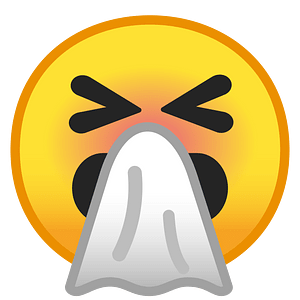 Noto Emoji Oreo 1F927