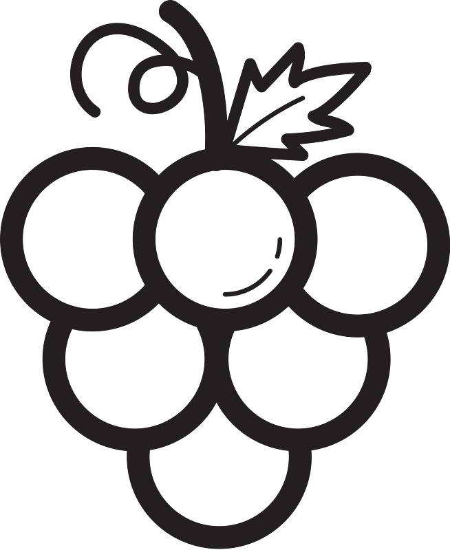 Fruit