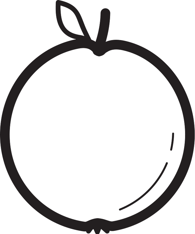 Fruit