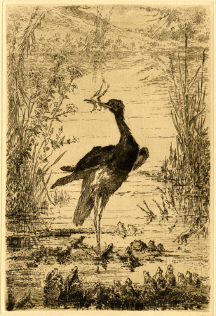 The Frogs Who Ask for a King, Paul Edouard Rischgitz, between 1900 and 1909