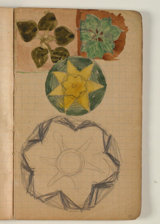 Sketches of plants and other ornamentation, Niels Larsen Stevns, 1906
