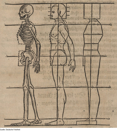 Skeleton, side view and stereometric figure of a man, 1618