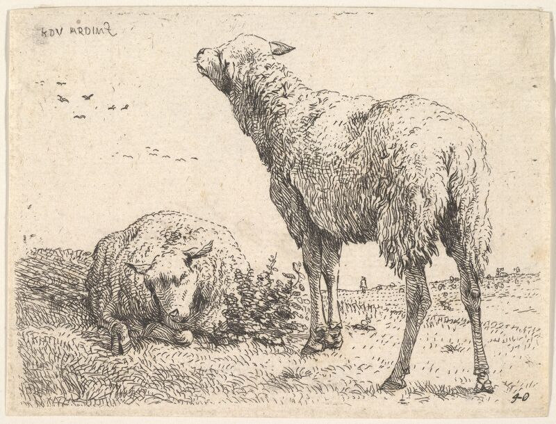 Two sheep, one shown frontally in a reclining position with its legs folded underneath the body, to the right a standing sheep shown from behind in three-quarters view, a grassy field below them and beyond, Karel Dujardin, circa 1655