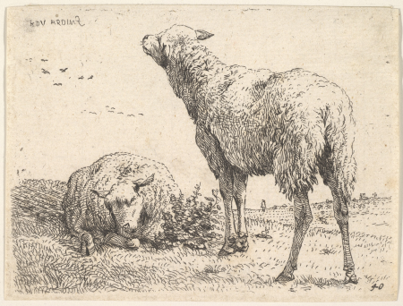 Two sheep, one shown frontally in a reclining position with its legs folded underneath the body, to the right a standing sheep shown from behind in three-quarters view, a grassy field below them and beyond, Karel Dujardin, circa 1655