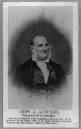 John James Audubon, half-length portrait, facing right LCCN97507098, John James Audubon, 1861