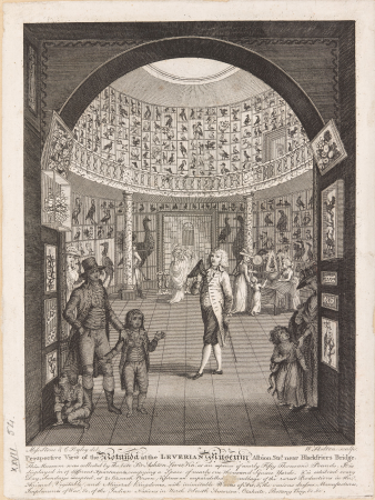 Perspective View of the Rotunda, circa 1788