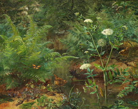 Ferns, birds, snails and insects at a stream., O.A. Hermansen, 1876