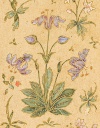 A Discourse Between Muslim Sages (image 4 of 6), Govardhan, circa 1630