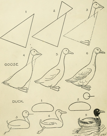 Drawing made easy - a helpful book for young artists; the way to begin and finish your sketches, clearly shown step by step (1921) (14583214499)