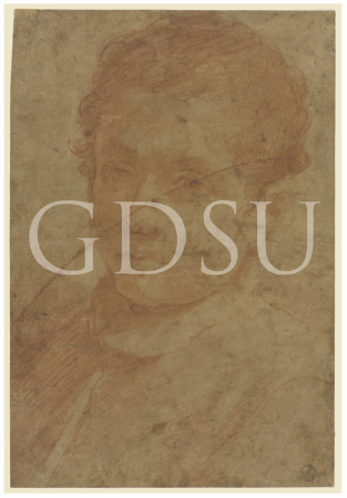 Carracci - inv 12422 F, Annibale Carracci